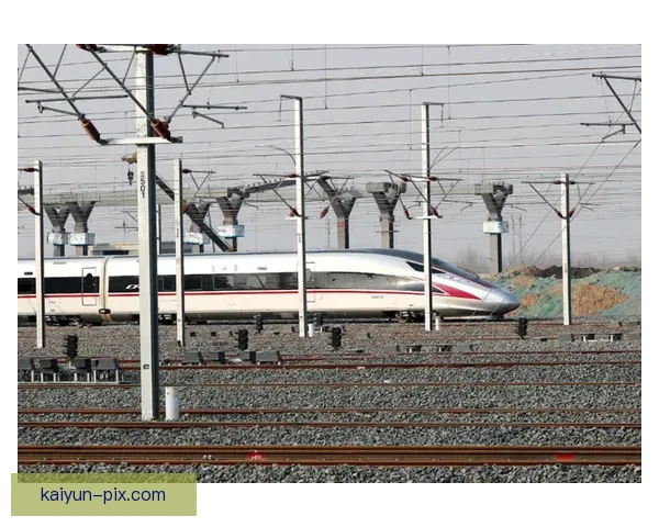 中国队迎来主场龙属性状态回暖，备受期待的战斗力提升