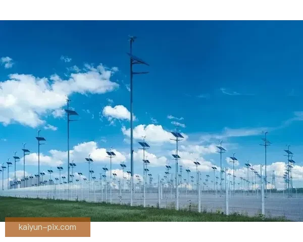 上海申花球迷蓝宝持续支持球队，主场氛围表现稳健稳健